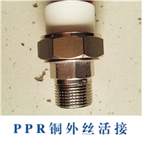 PPR铜外丝活接